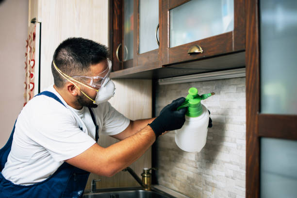 Best Pest Control Near Me in Arizona City, AZ