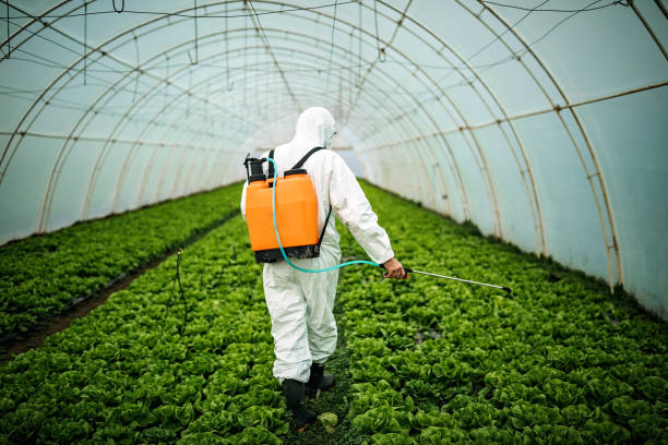 Best Best Pest Control Companies  in Arizona City, AZ