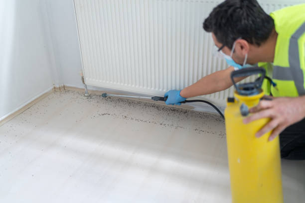  Arizona City, AZ Pest Control Pros